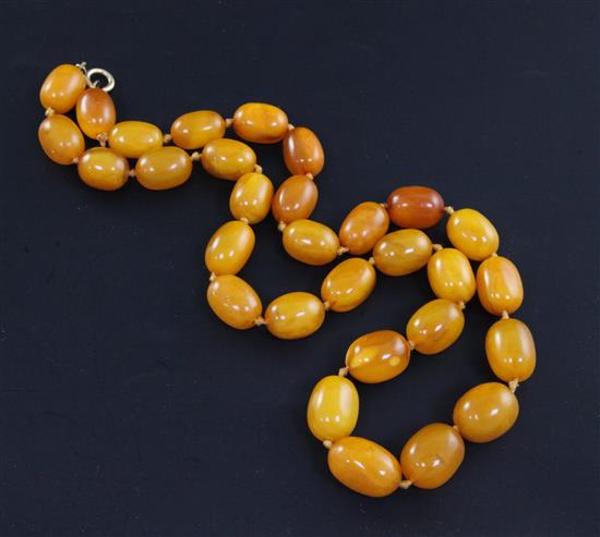 A single strand oval amber bead necklace, 66cm.